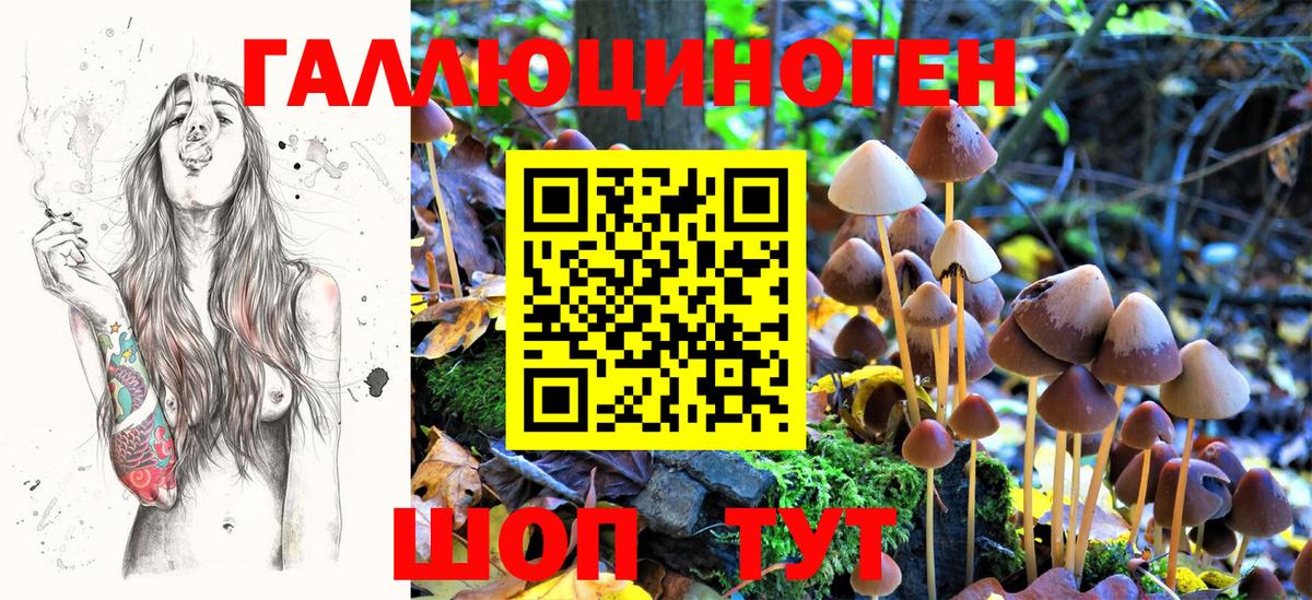 Псилоцибиновые грибы Magic Shrooms  Вход с VPN  Муравленко  Псилоцибиновые грибы Psilocybe 